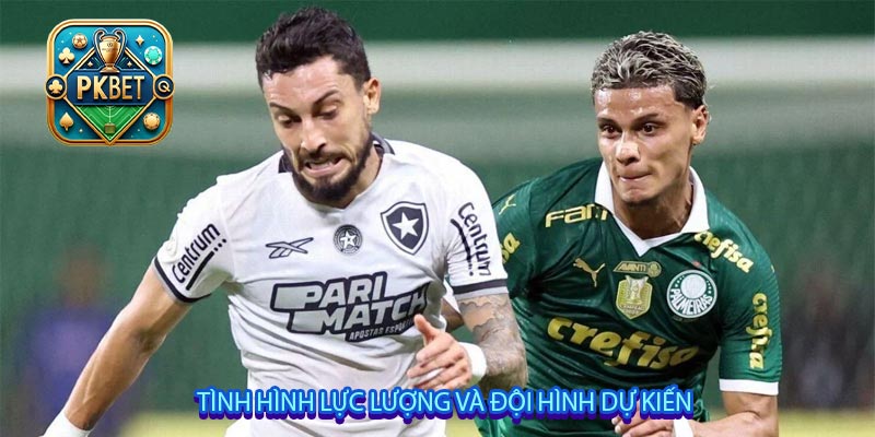 Tình hình lực lượng và đội hình dự kiến